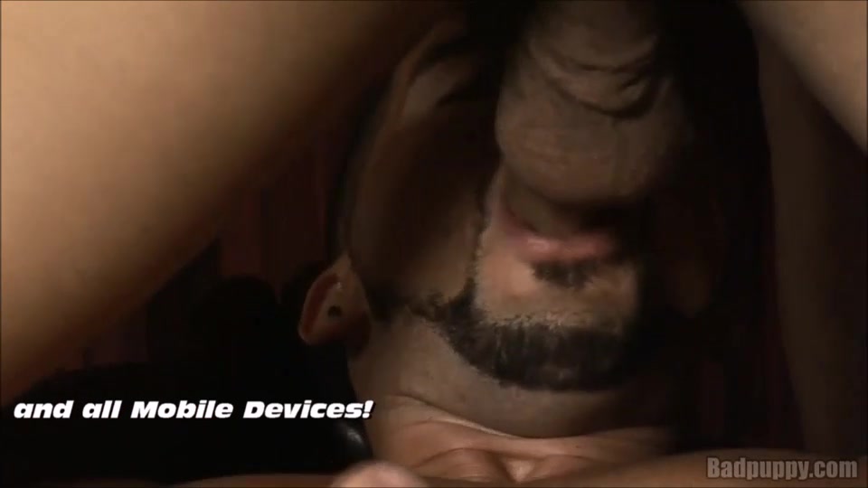 Tom Smith and Daren Hecker - BadPuppy