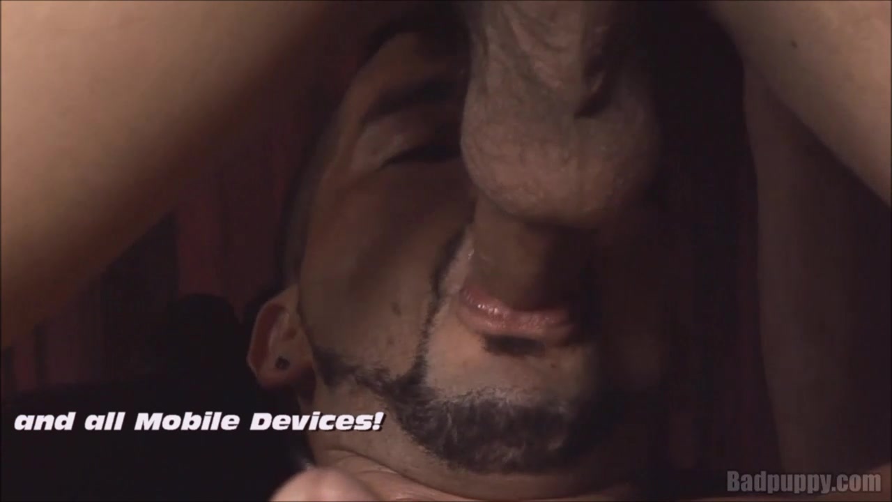 Vaclav Chovanec and Matej Borzik - BadPuppy