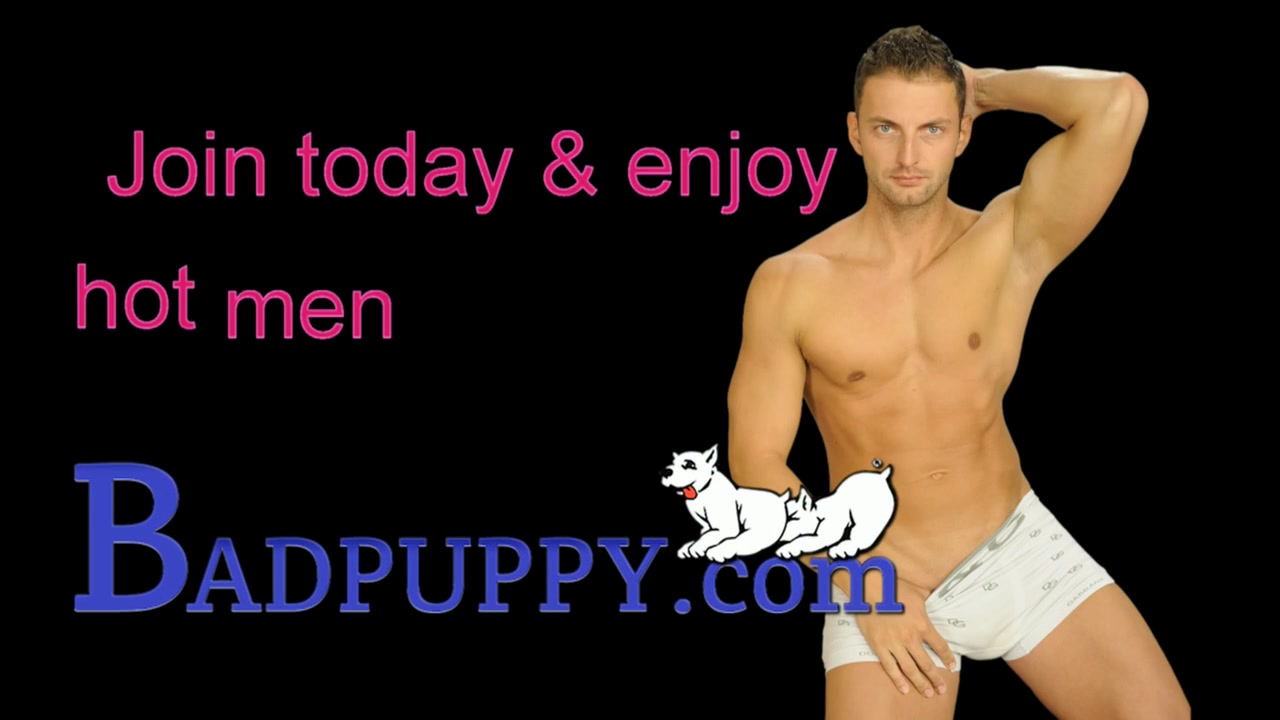 Tristain Crown - BadPuppy