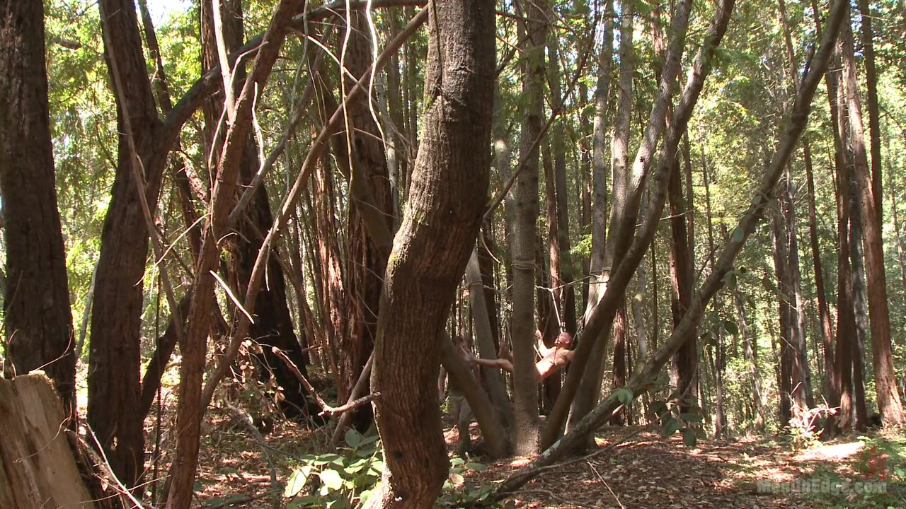Russian soldier captured and edged deep in the woods