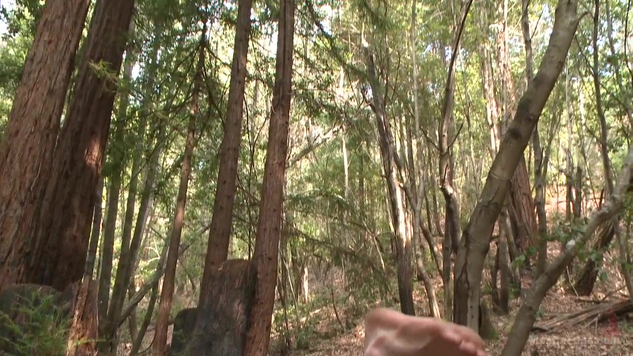 Bi stud bound and edged in the forrest