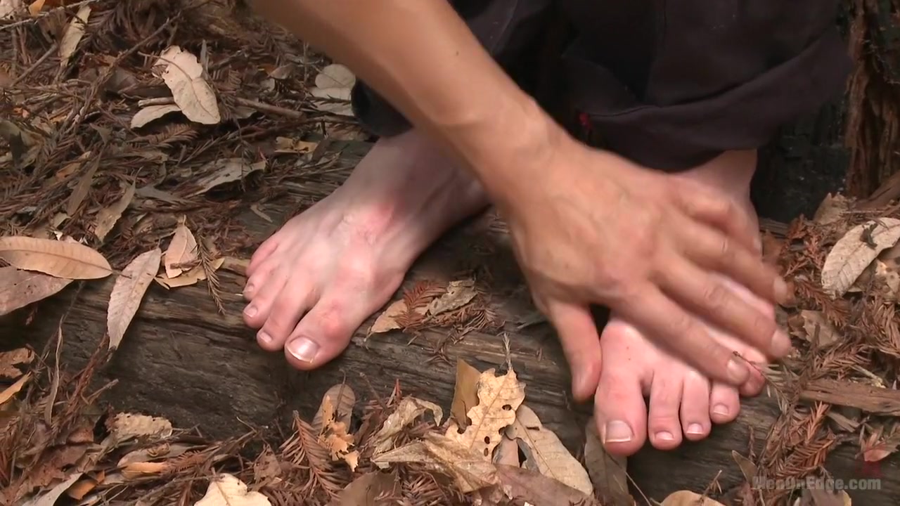 Bi stud bound and edged in the forrest