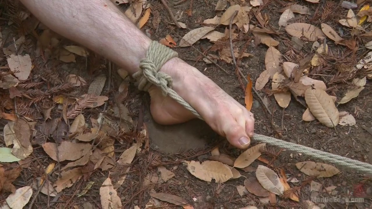 Bi stud bound and edged in the forrest