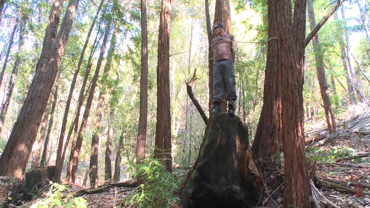 Bound Christian Wilde begs to cum in the woods