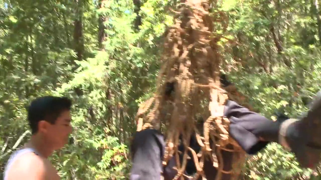 Officer Bullet - Ass fucked and edged in the middle of the woods