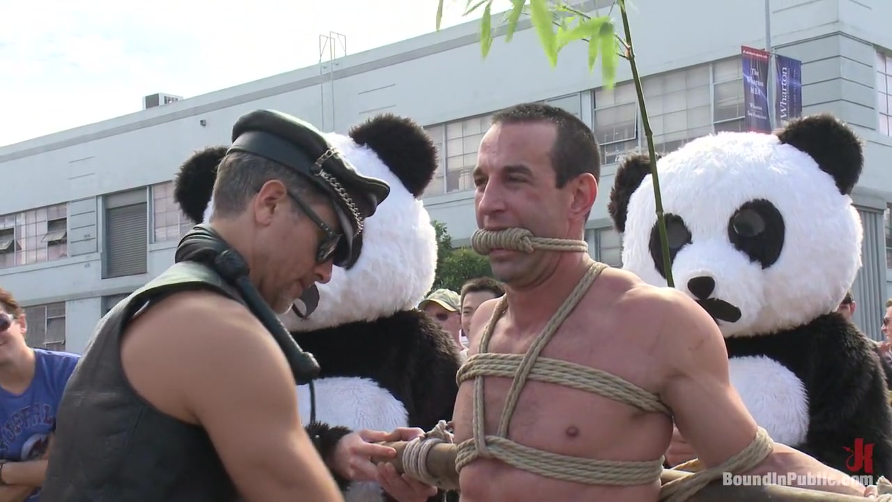 Naked Pandas Trick or Treat - Just in time for Halloween