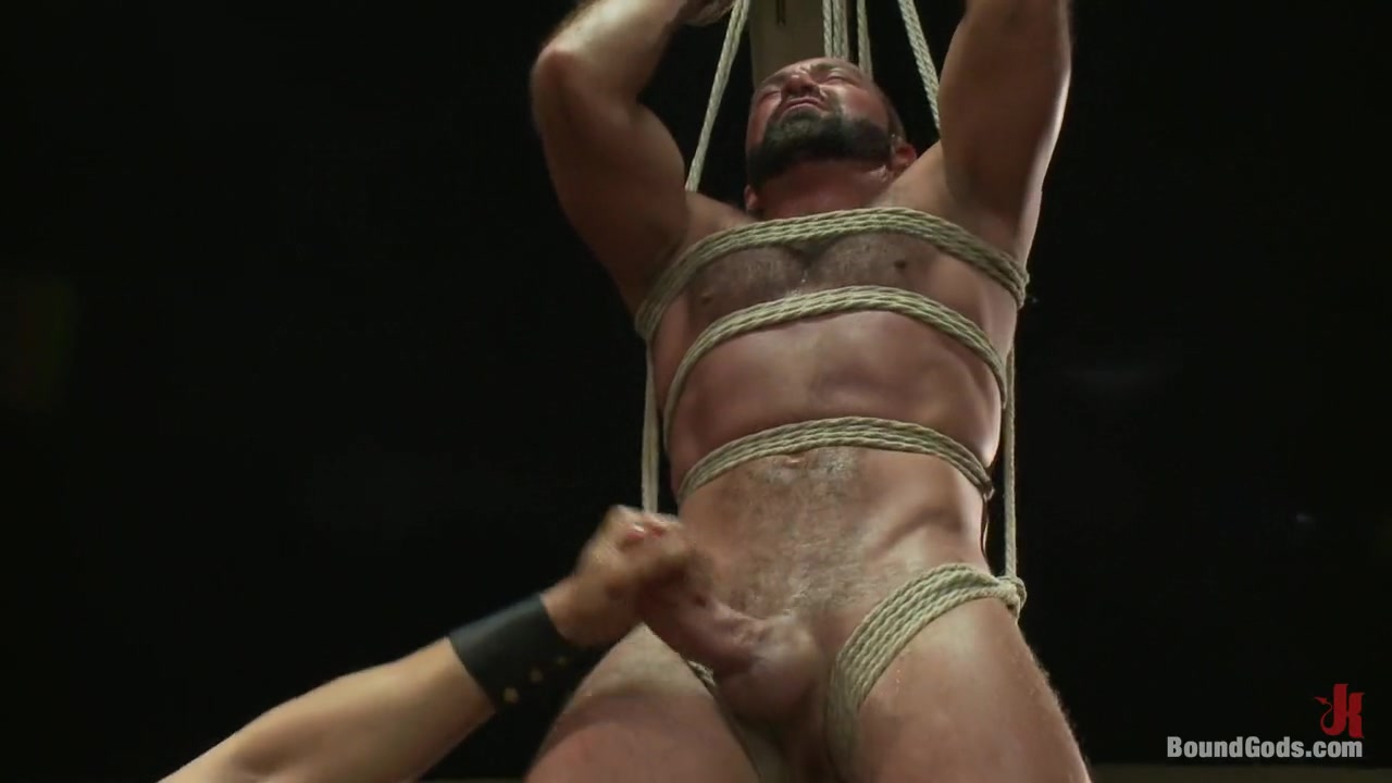 Single tail, Electricity and Suspension - Live Shoot