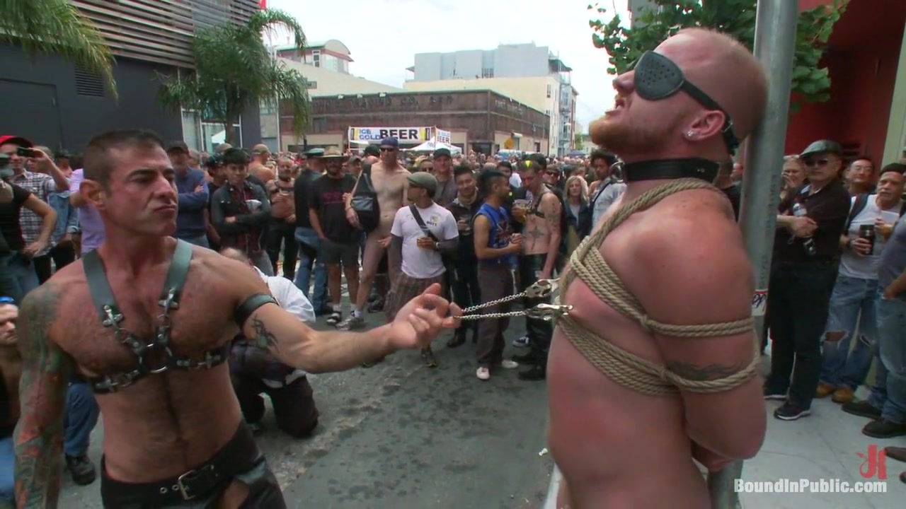 Dore Alley Pig