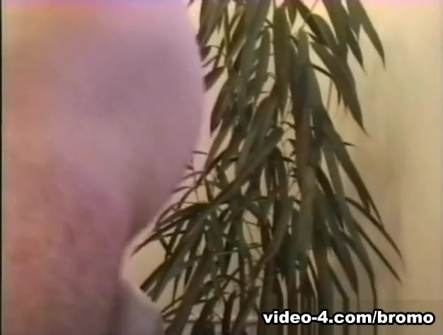 Jason Broderick & Mitch Preston in Beverly Hills Cock Scene 3 - Bromo