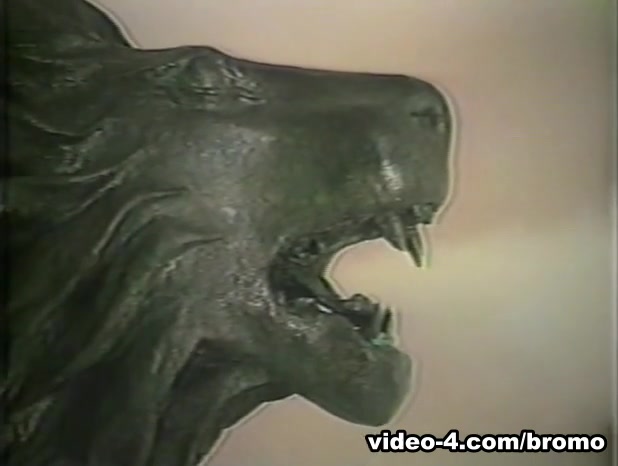 Hot Shots Double Feature #2 Scene 5 - Bromo