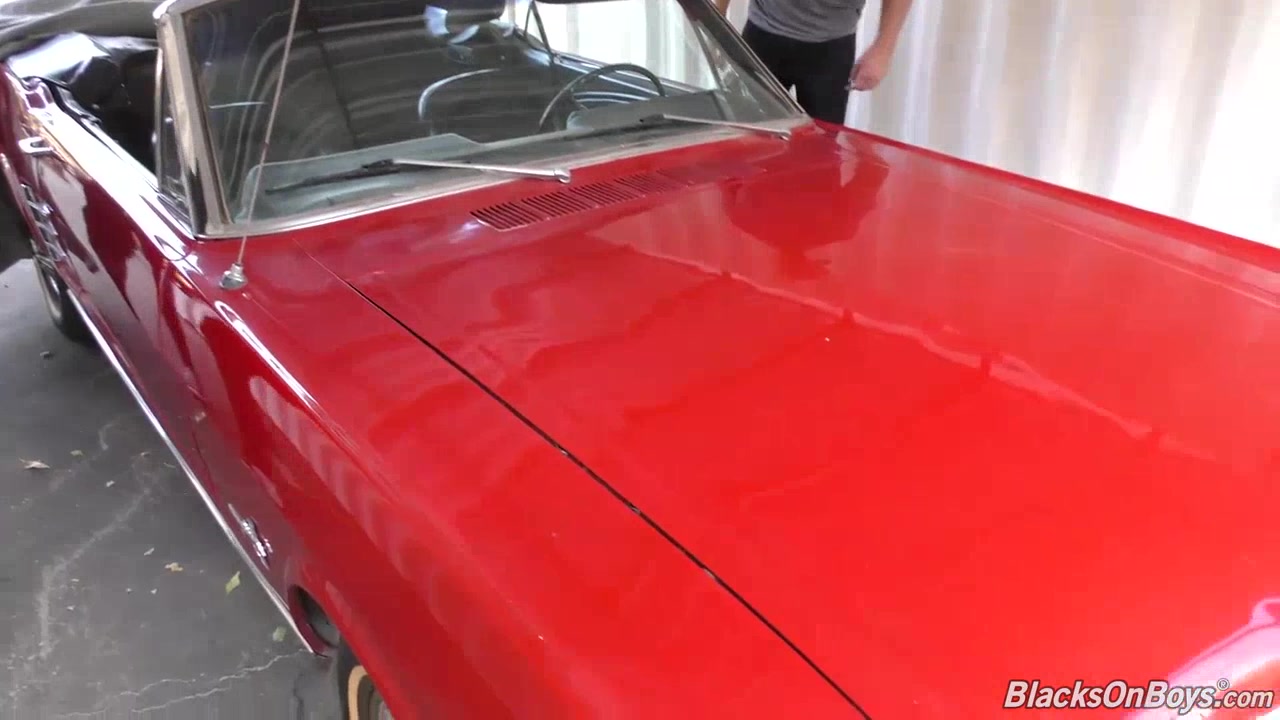 Two black guys buying a car and fucking its white owner