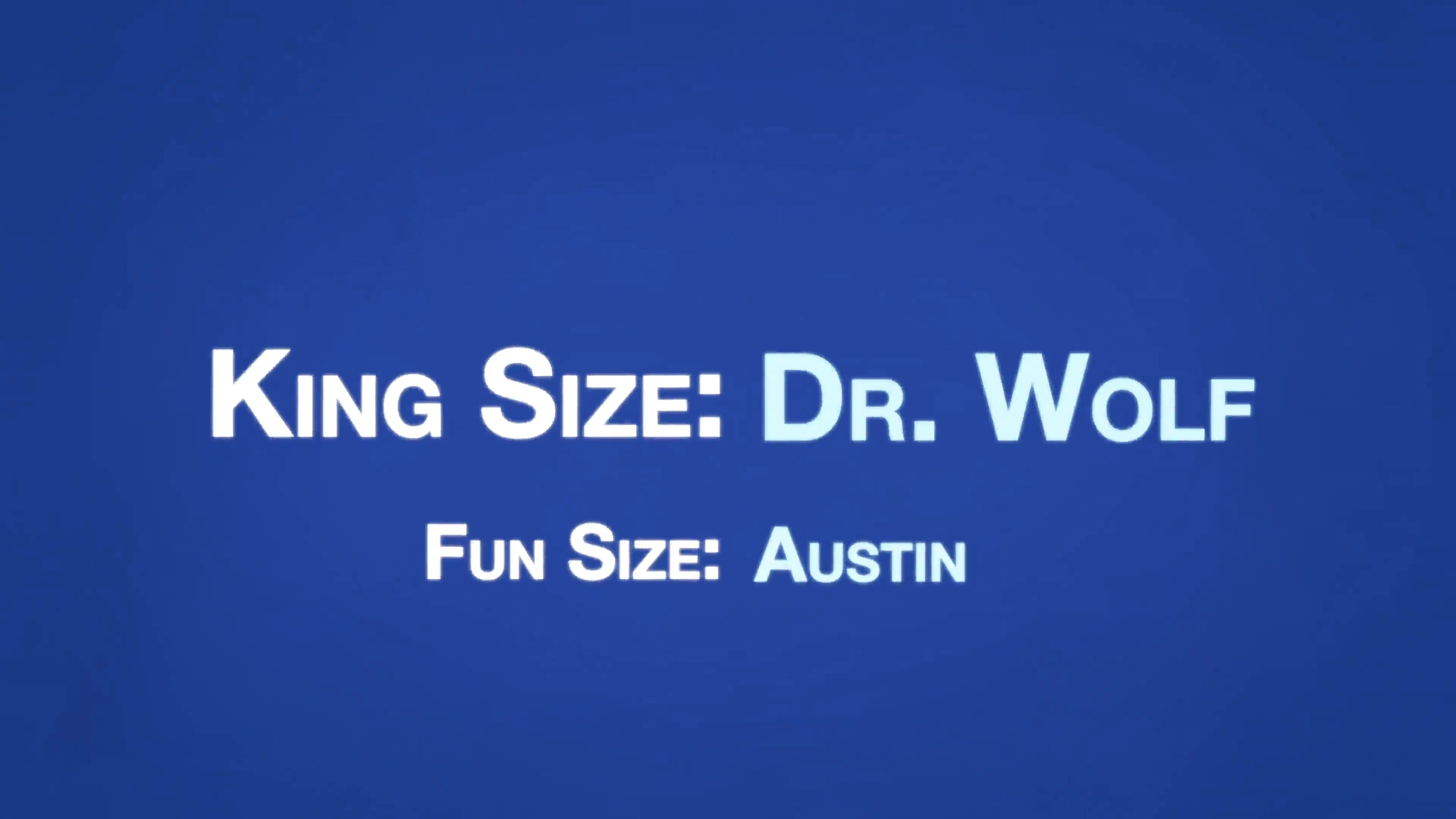 AUSTIN Chapter 2 - Dr. Wolf's Master Bedroom
