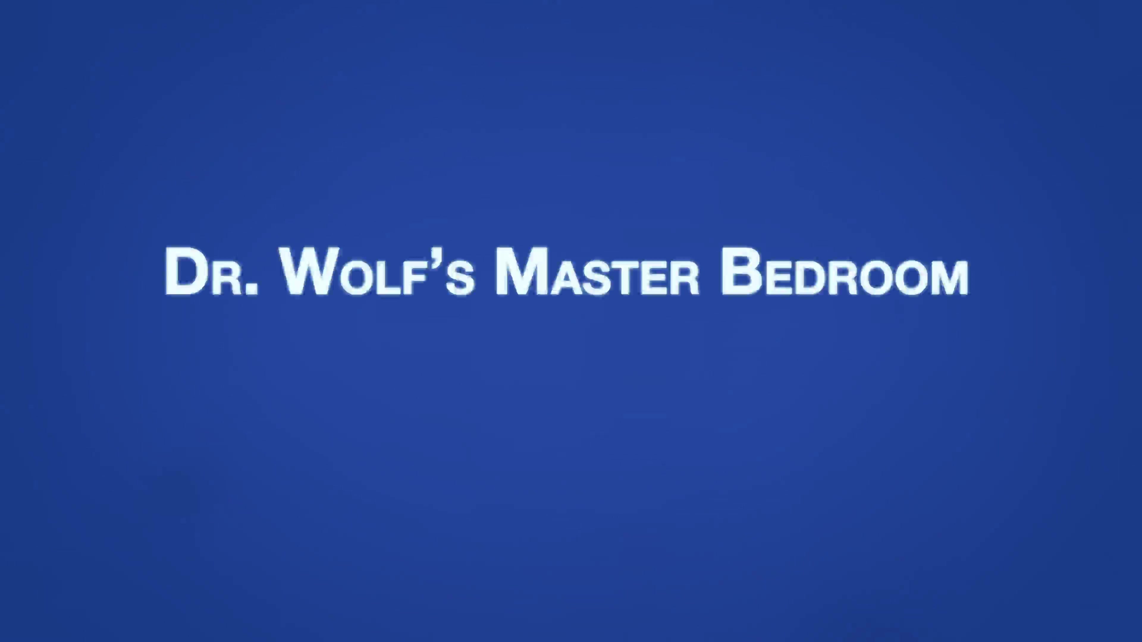 AUSTIN Chapter 2 - Dr. Wolf's Master Bedroom