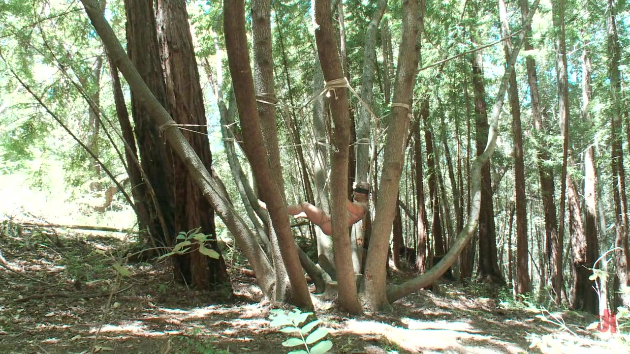 Captured straight jock gets his tight ass violated in the deep woods