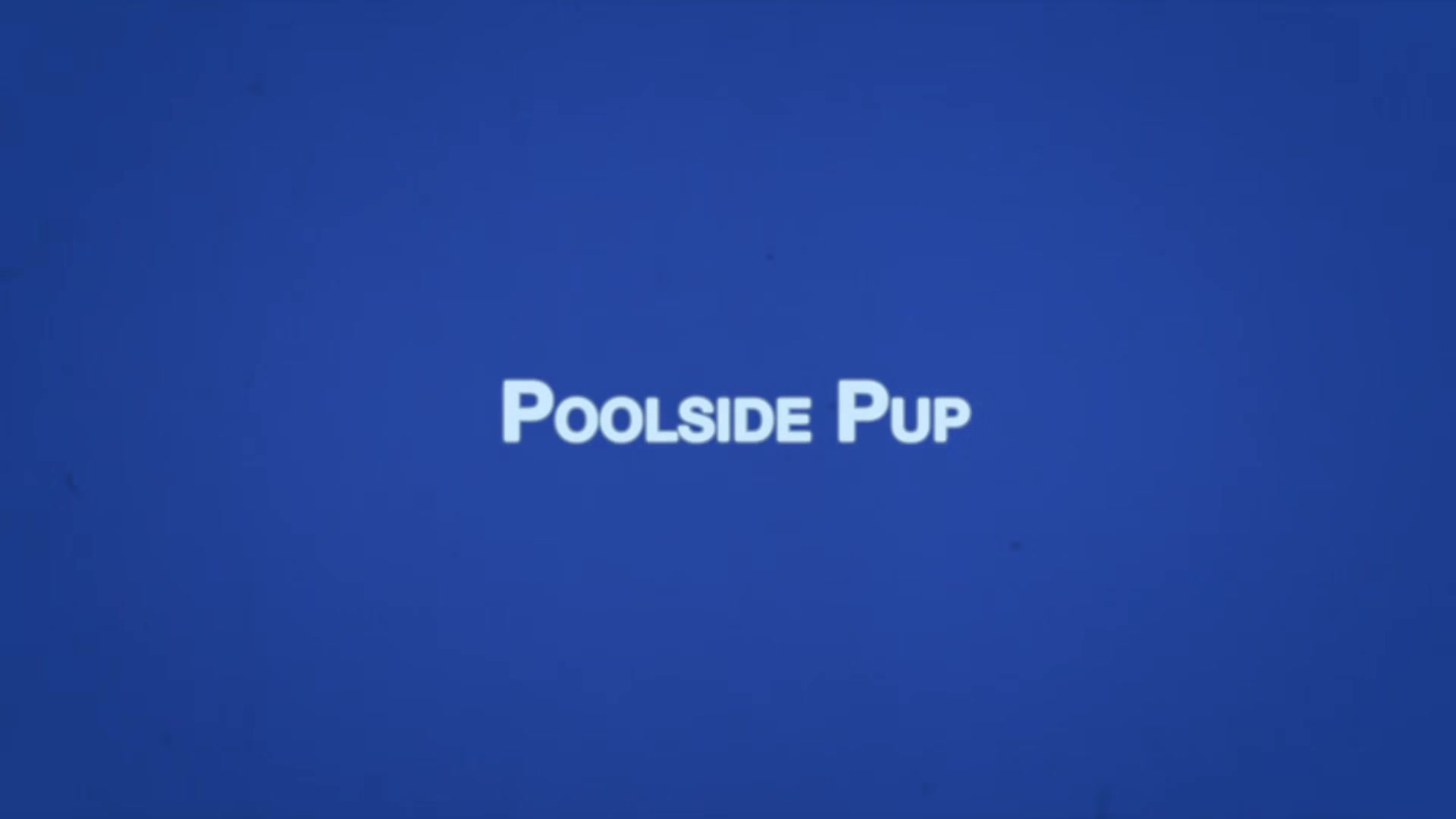 AUSTIN Chapter 23 - Poolside Pup