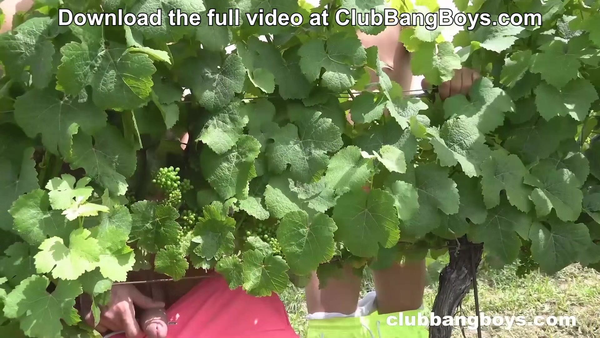 Old Gay Walter Sucks 2 Twinks in the Grapevine and Gets Ass Fucked at ClubBangBoys