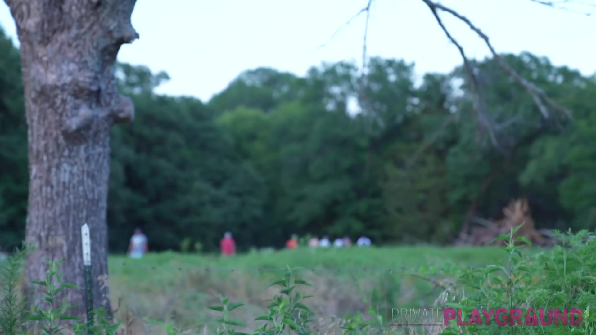 Primal P01 - PrivatePlaygroundXXX