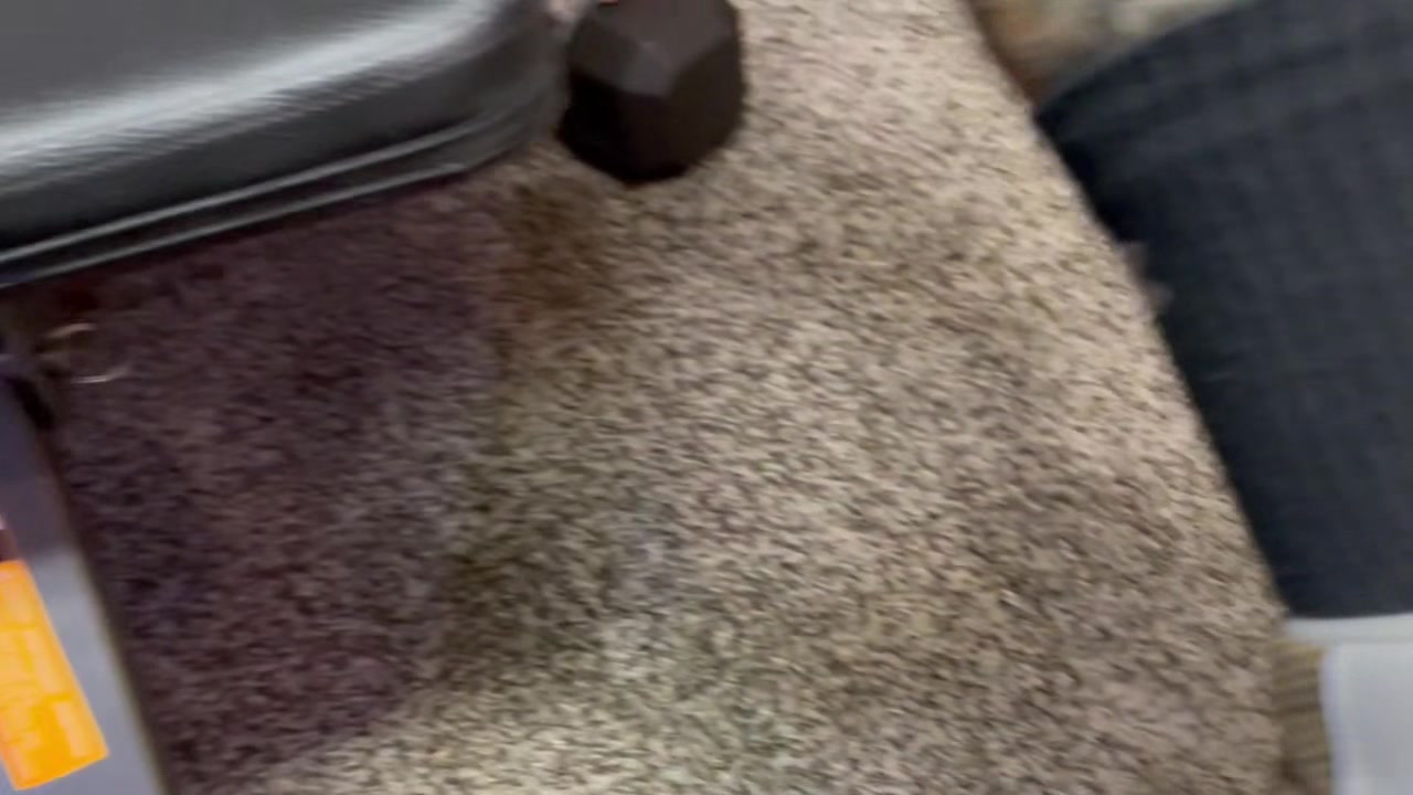 Squats Sweat Cum - MaverickMenDirects