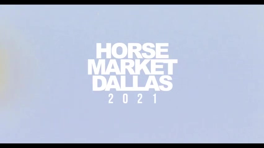 Horse Market Dallas 2 - PrivatePlaygroundXXX