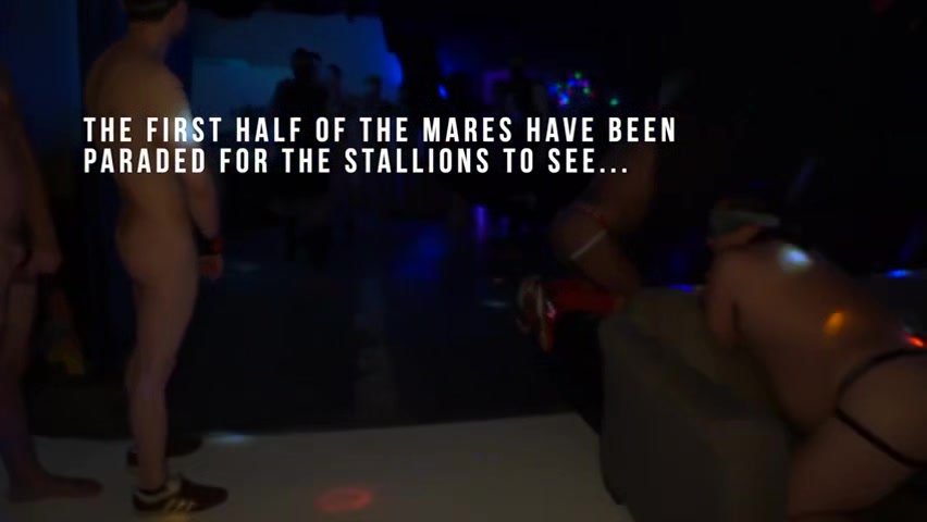 Horse Market 2 - PrivatePlaygroundXXX