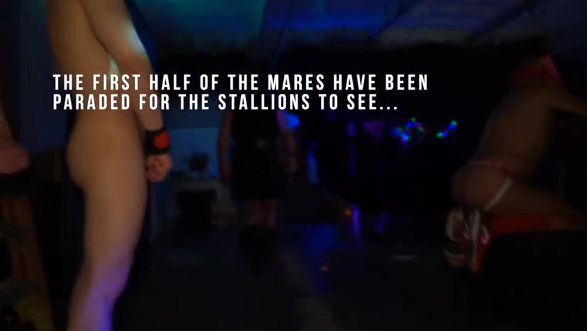 Horse Market 2 - PrivatePlaygroundXXX