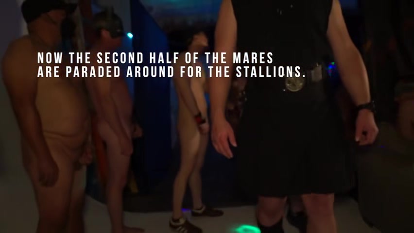 Horse Market 2 - PrivatePlaygroundXXX