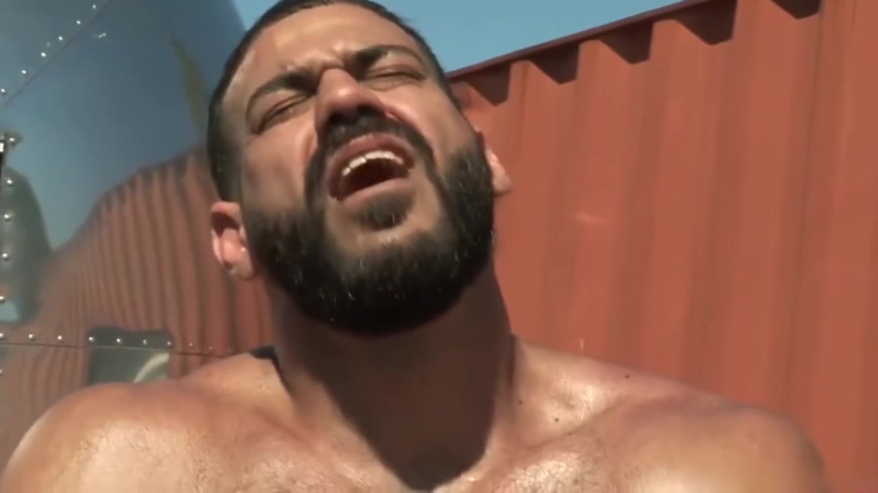 Sunlight Bronze Bear Stepdaddy Hot Fuc