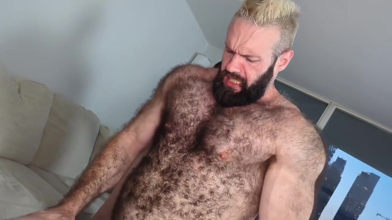 The Bears Orgy