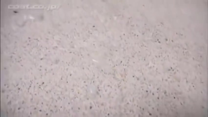 Astonishing Sex Movie Homosexual Creampie Wild Watch Show