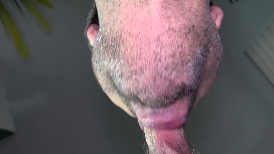 Blowjob Fantasy Vol.1 - Frankfurt Sex Stories - Gay Porn