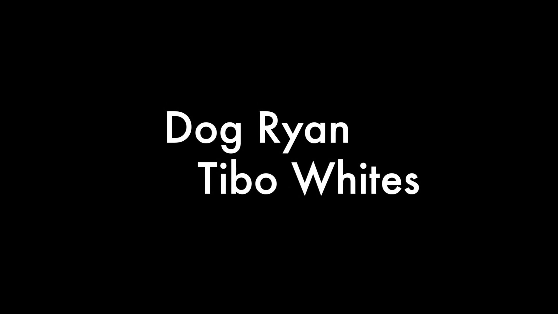 Dog Ryan And Tibo Whites