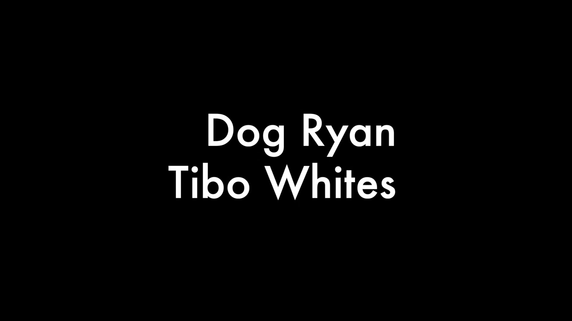 Dog Ryan And Tibo Whites