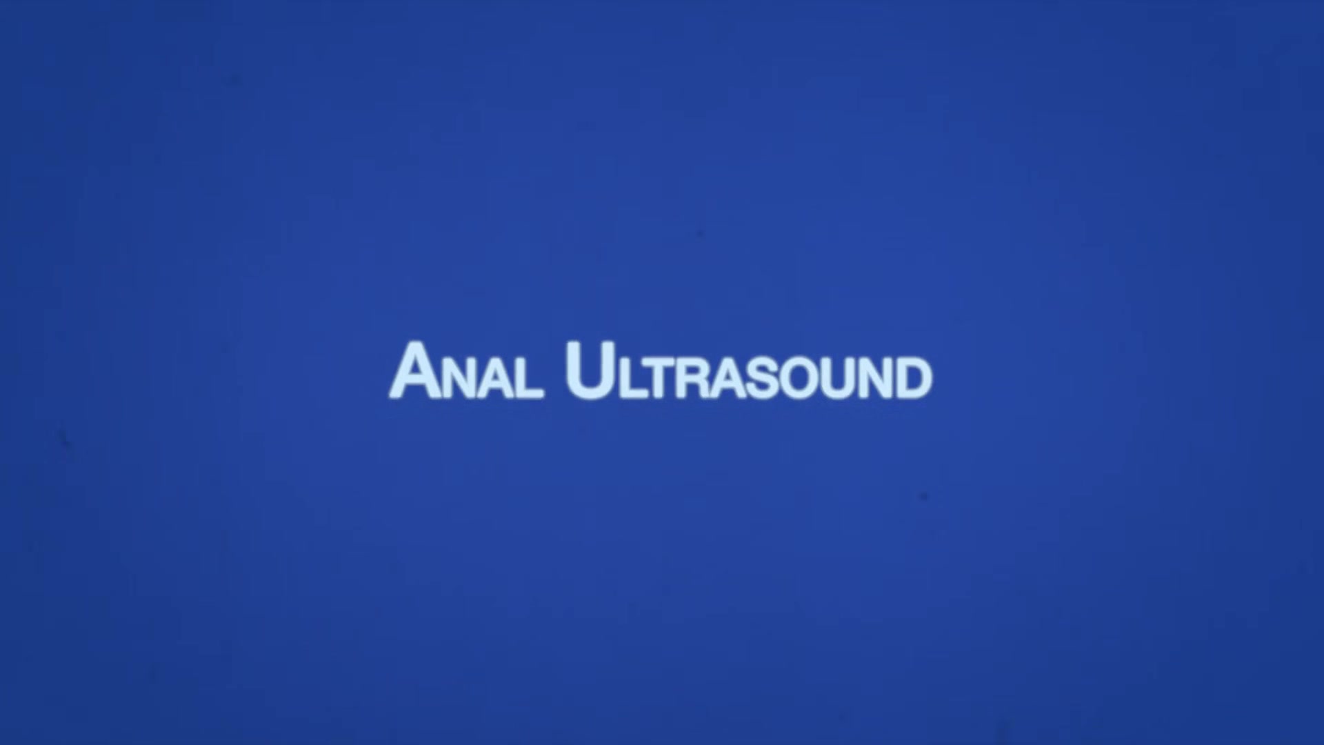 Grant Chapter 3 - Anal Ultrasound