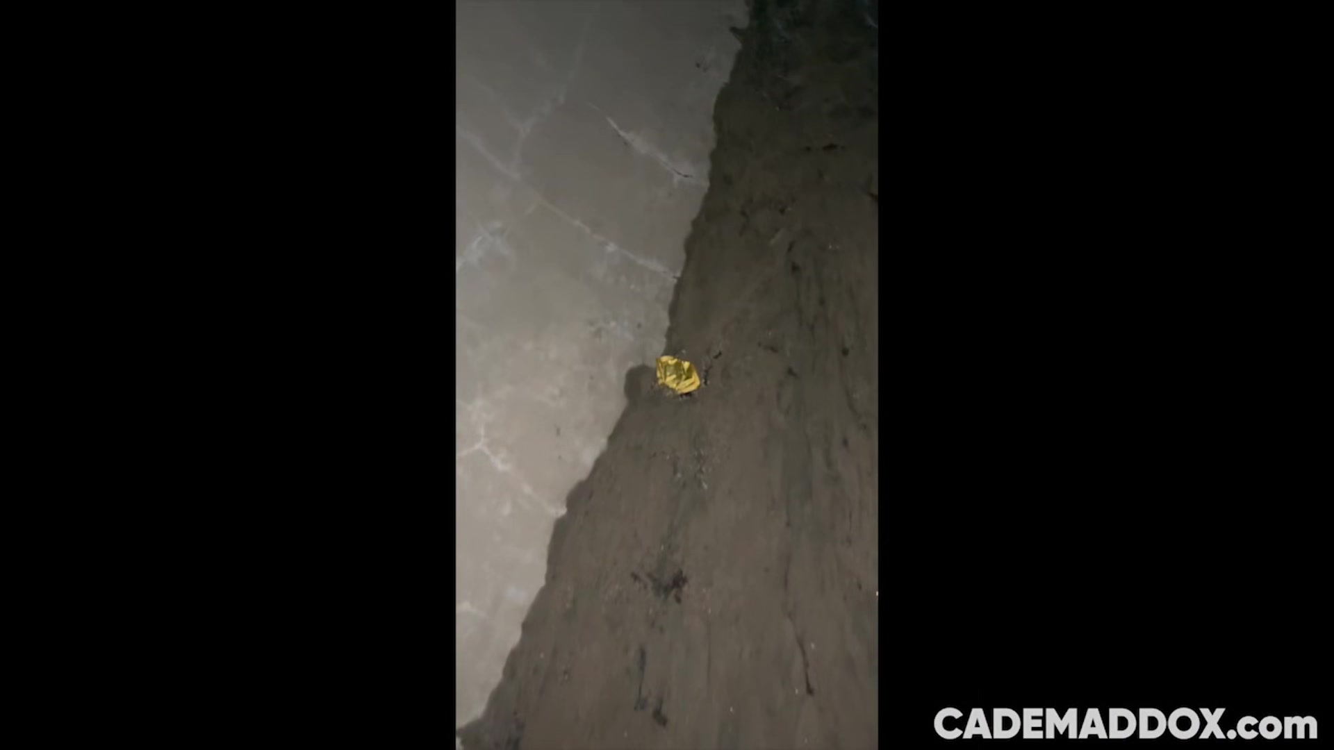 Anon Park Cumdump - CadeMaddox