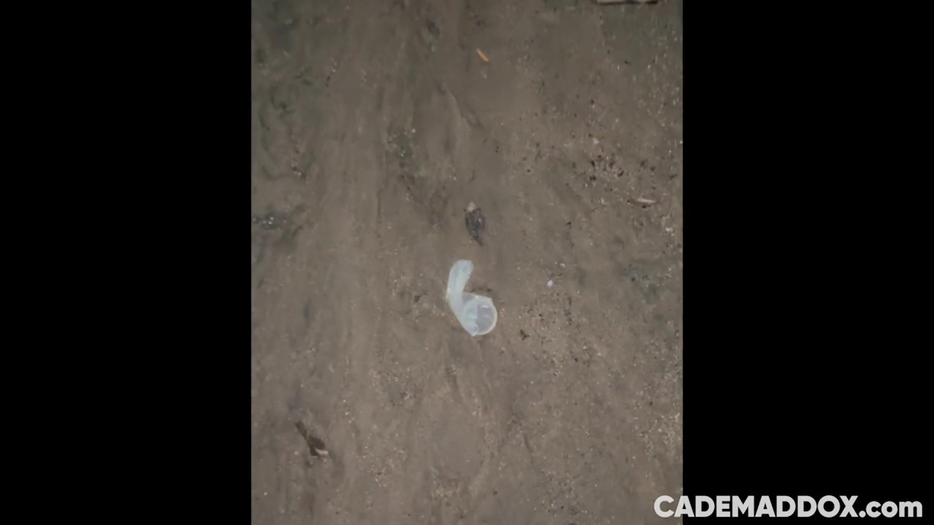 Anon Park Cumdump - CadeMaddox