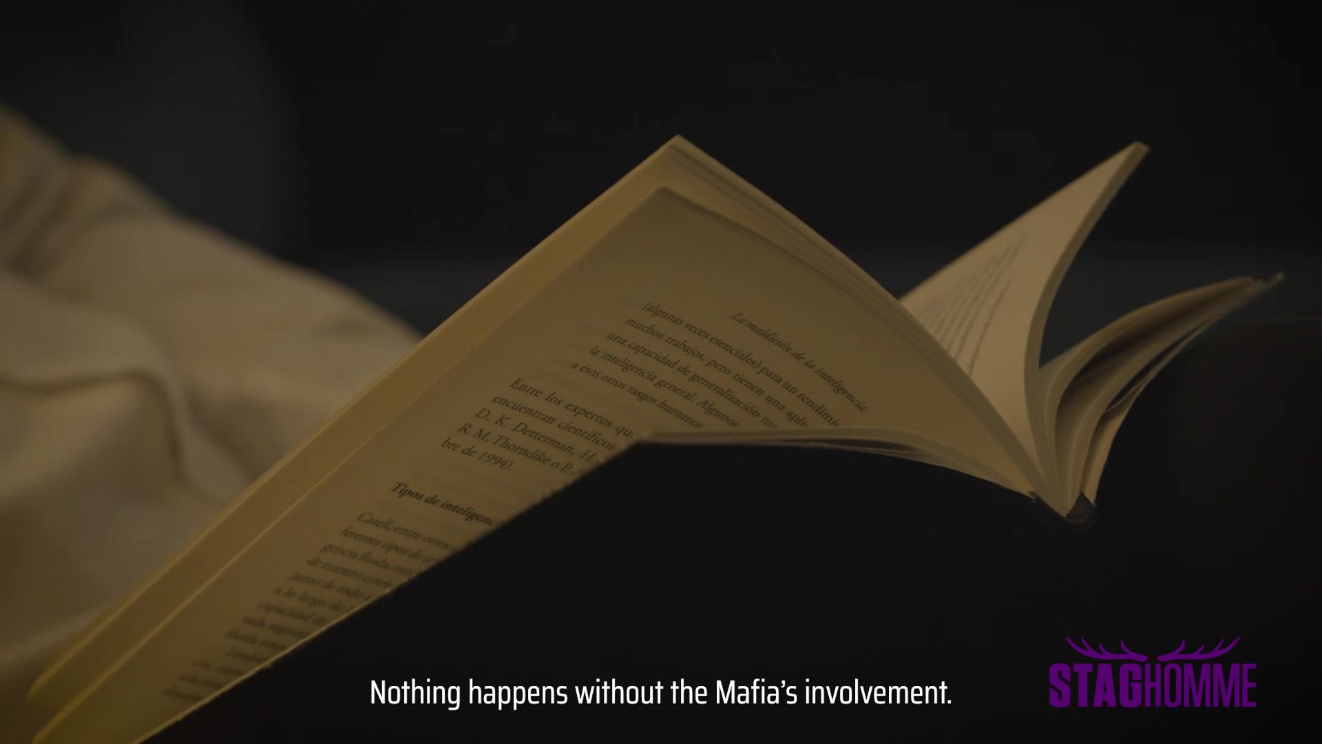 The Mafia Chapter 1 - Staghomme Origins