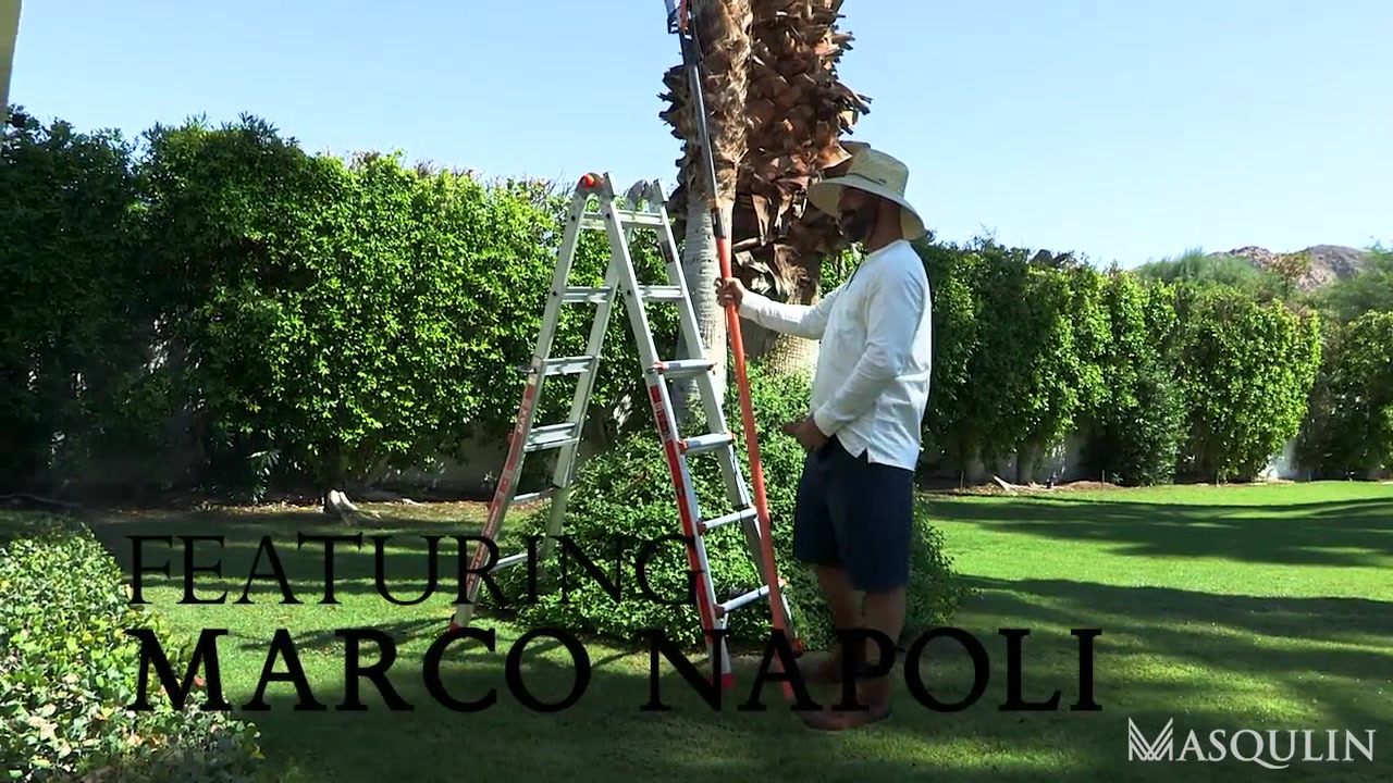 The Arborists, Part 1 - Bro Network