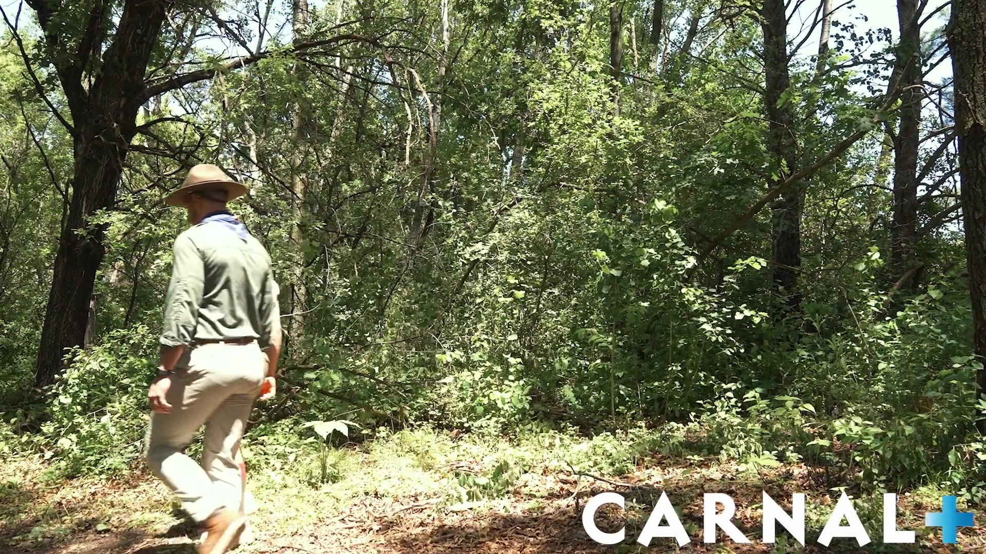 Scout Canyon Chapter 3 - Off Trail