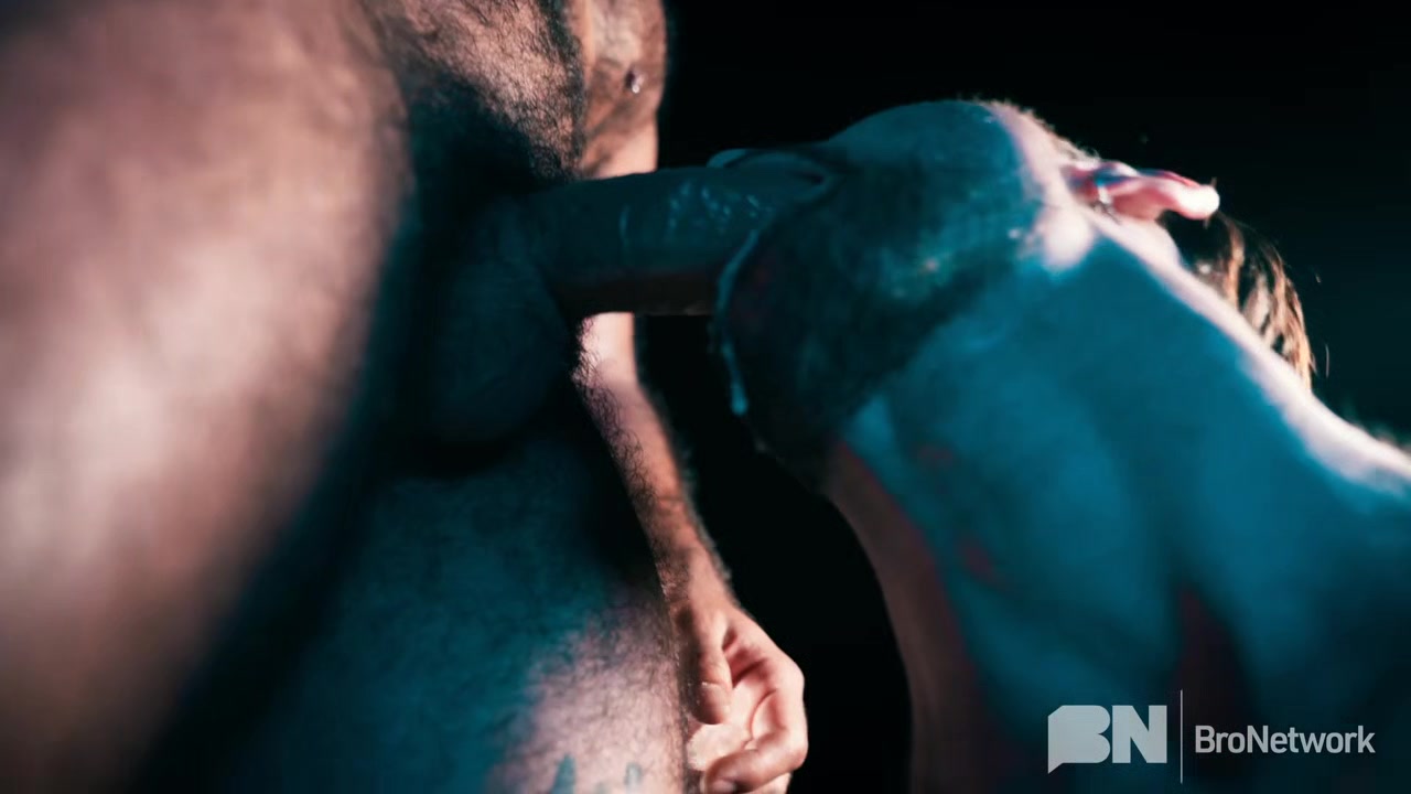 MetaSEX - Bro Network