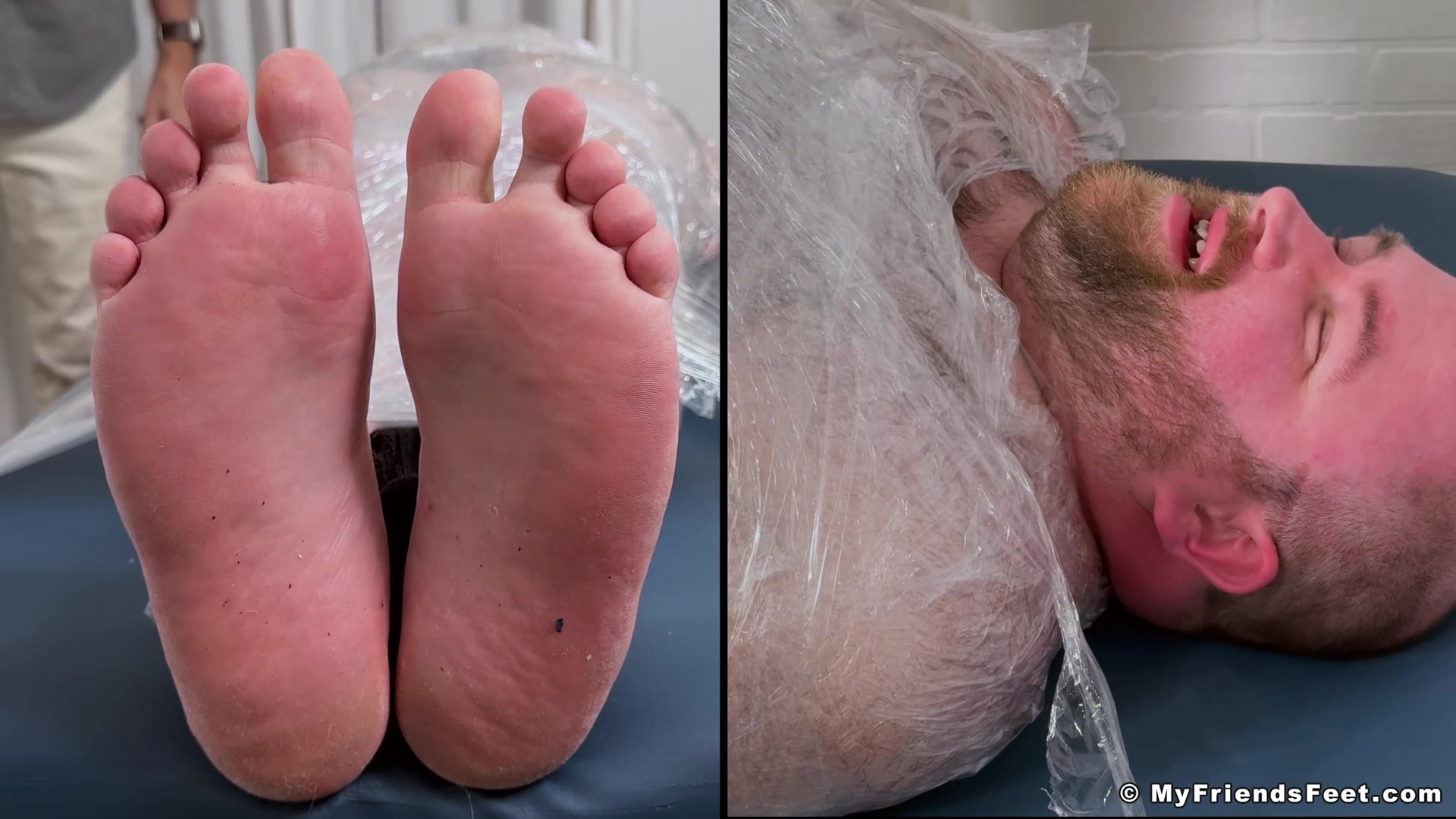 Tommy Mummified - Tommy Bearhama