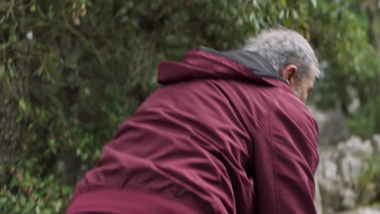 Monte - Short Cuts Fall Film Festival