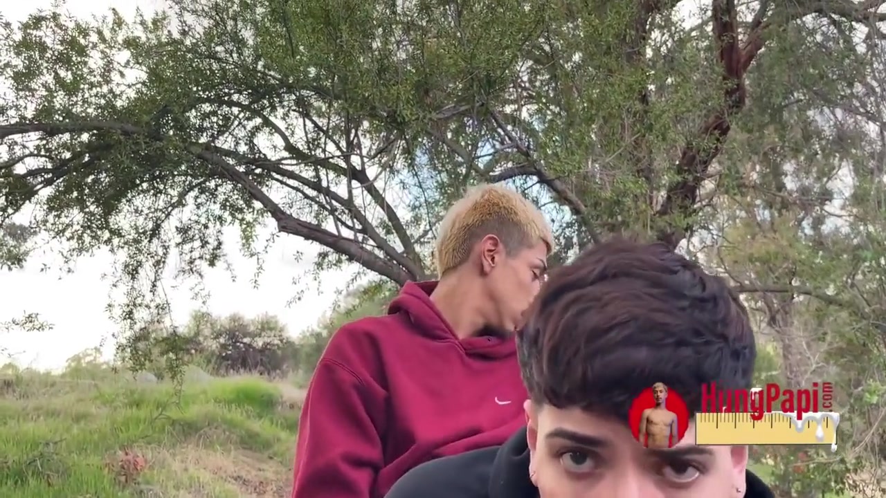 Big Cock Twinks Fucking Public Caught Gay Anal