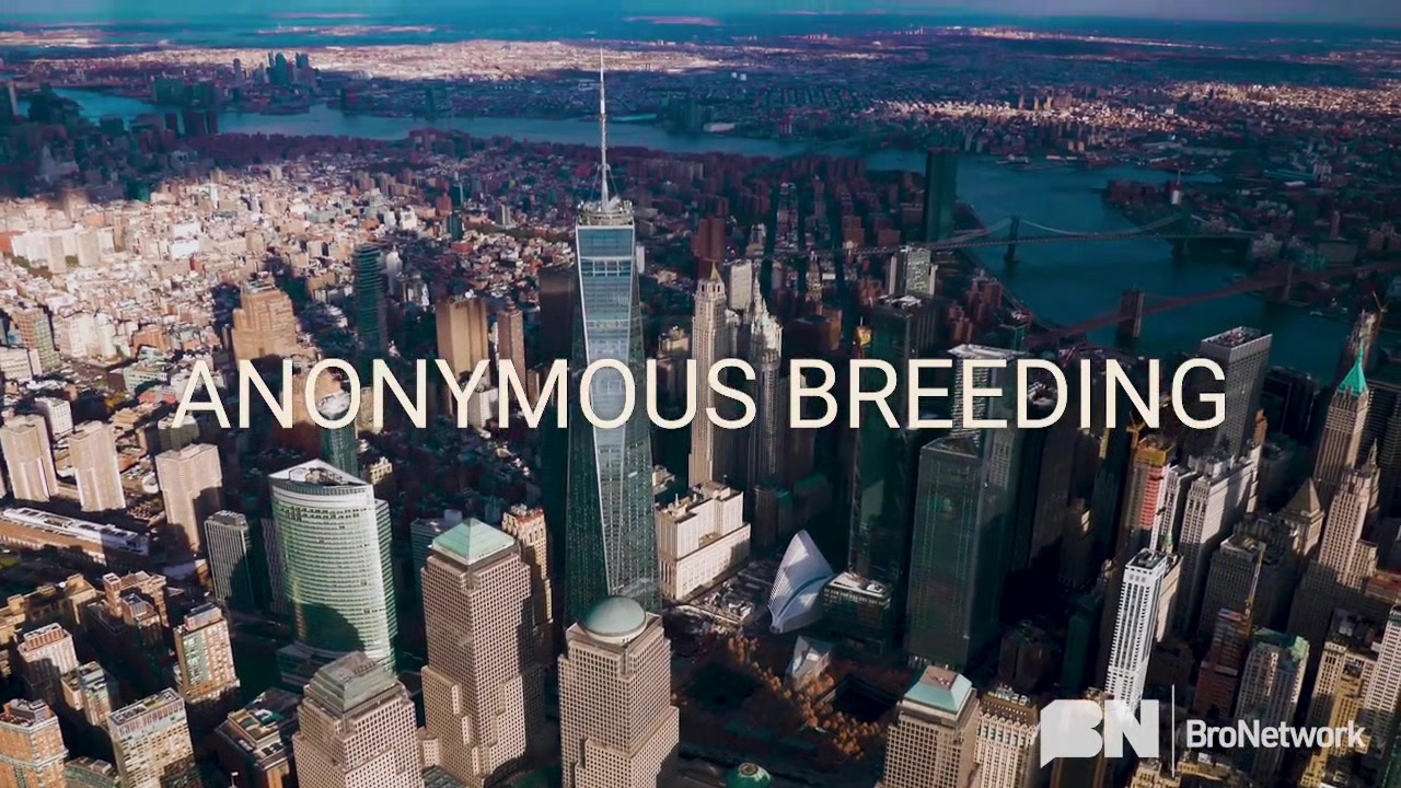 Anonymous Breed, Part 4 - Bro Network