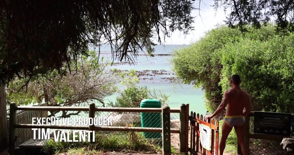 Global Entry: South Africa: Apolo Adrii and Danny Steele - NakedSword Originals, Falcon - NakedSword