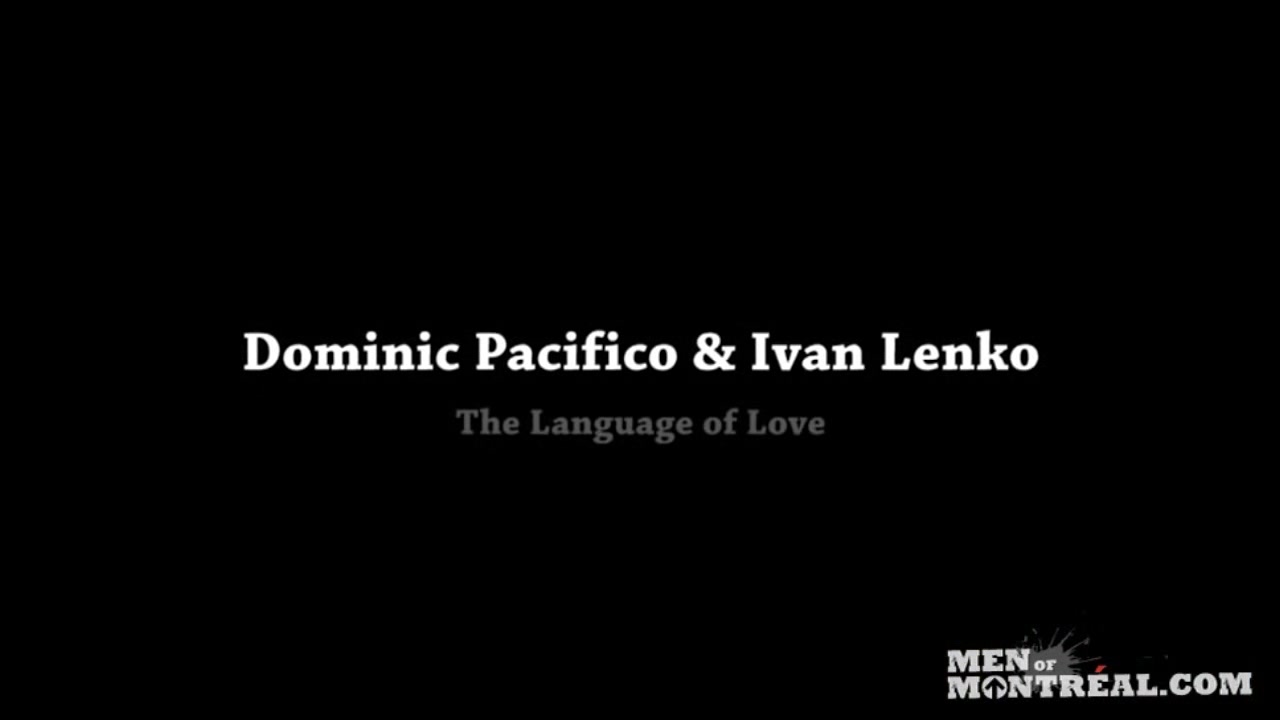 The Language Of Love - Bro Network