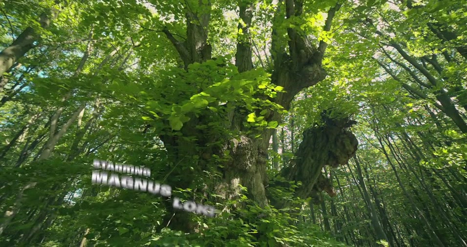 Global Entry: Scotland - Magnus Loki and Benjamin King - NakedSword Originals