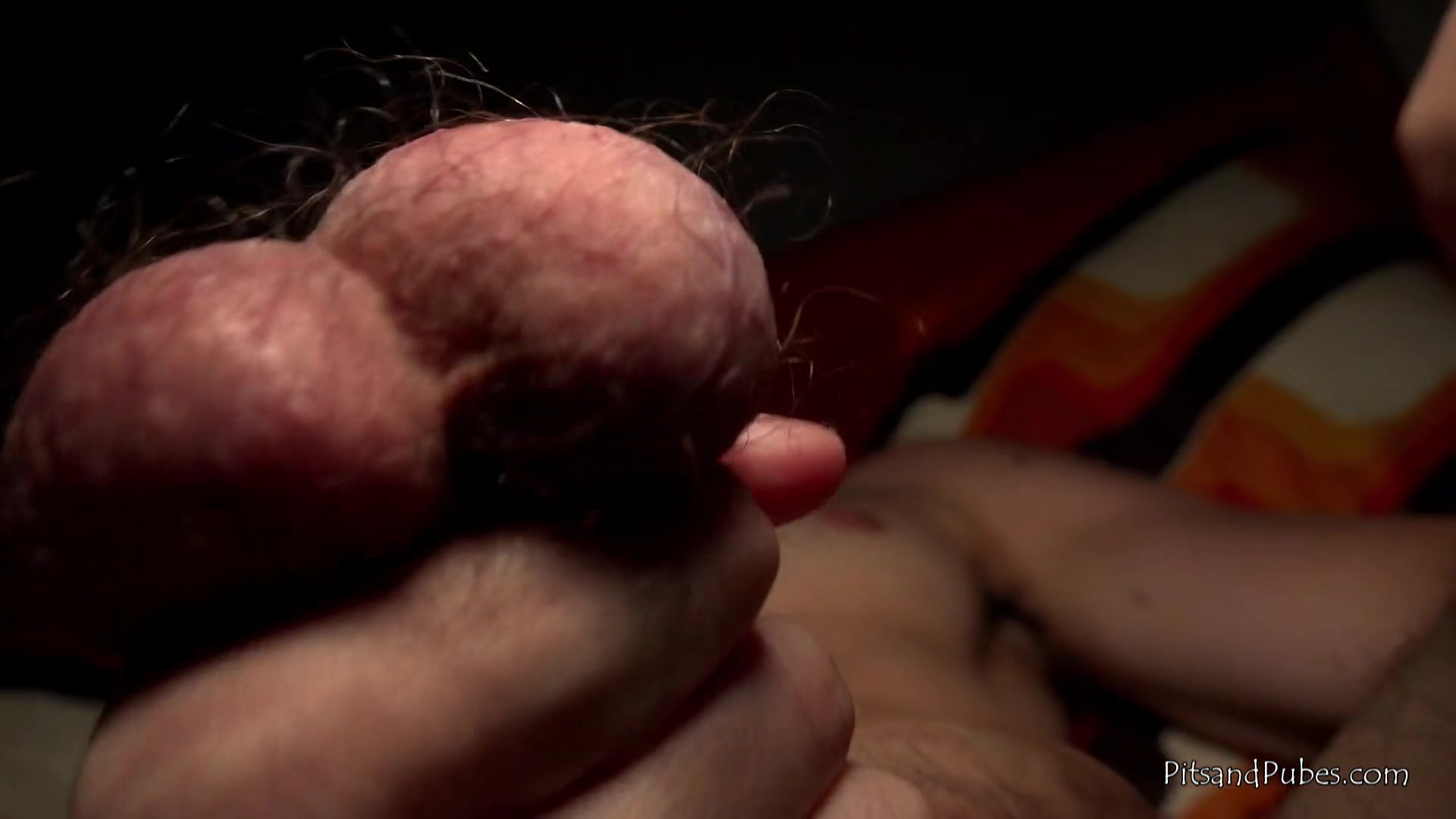 Hairy Otter With Big Furry Balls