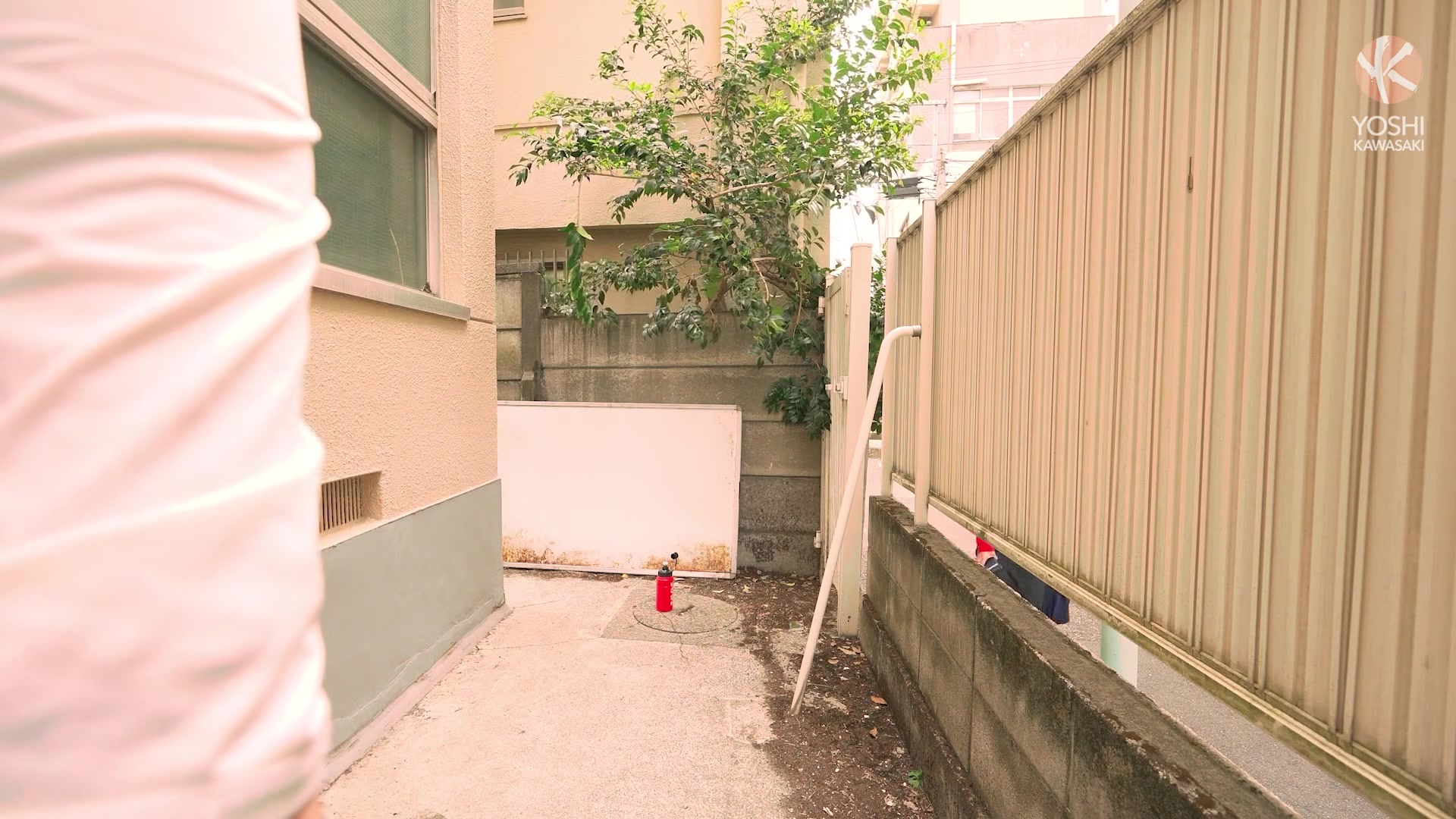 The Other Side Of The Fence