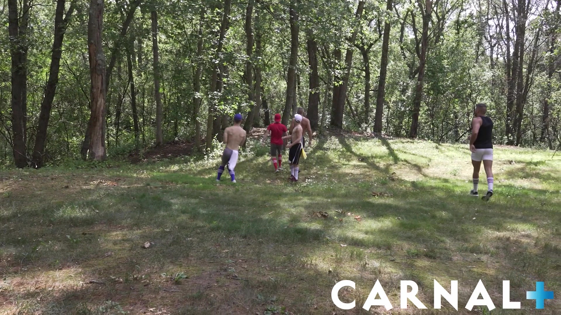 TwinkTop - Beautiful Logan Cross barebacks his hairy masculine coach