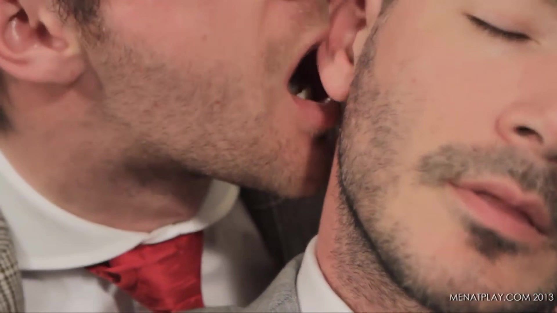 Diary of a Fox: Tuesday - MENatPLAY
